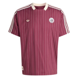 Ajax 25/26 Özel Seri Forma