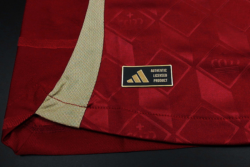 Belçika EURO 2024 Profesyonel İç Saha Forma - Görsel 8